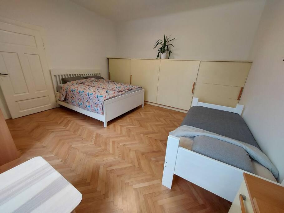 Apartment Bezigrad Ljubljana Bagian luar foto